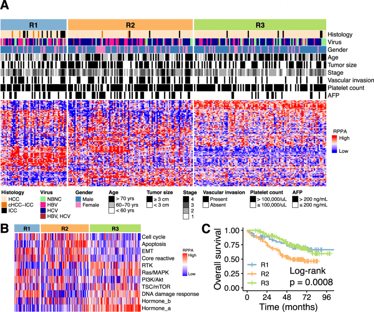 Proteo-genomic Profiling of Virus-associated Liver Cancer
