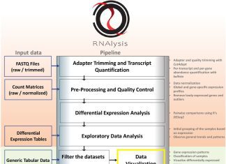 RNAlysis: a Gateway into RNA Sequencing Data Analysis for Less Computer-savvy Researchers RNAlysis: RNA Sequencing Data Analysis for Less Computer-savvy Researchers