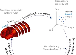 Functional Connectivity MultiVariate Pattern Analysis – A Novel Method for the Analysis of Human Connectome Functional Connectivity MultiVariate Pattern Analysis (fc-MVPA)- A Novel Method for the Analysis of Human Connectome