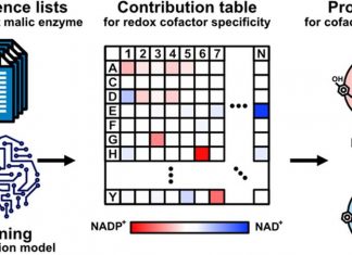 Researchers Developed Machine Learning-Based Enzyme Engineering Approach by Integrating a Logistic Regression Model A machine learning-based enzyme engineering.
