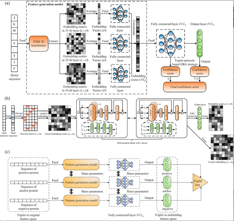 Triplet Alignment Model