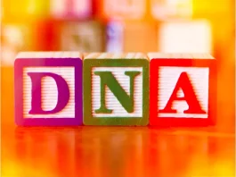 What is DNA? What is DNA?
