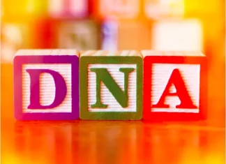 What is DNA? What is DNA?