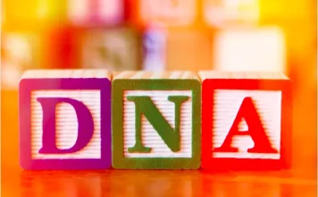 What is DNA? What is DNA?