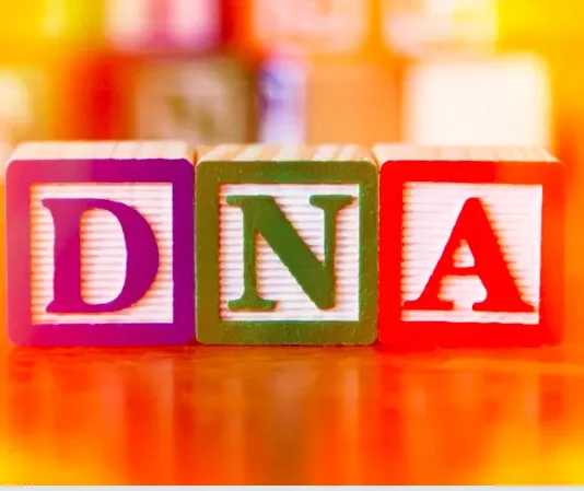 What is DNA? What is DNA?