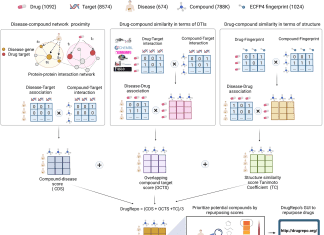 DrugRepo: A Scoring Algorithm for Drug Repurposing Incorporating Chemical and Genomic Features DrugRepo: A Scoring Algorithm for Drug Repurposing Incorporating Chemical and Genomic Features