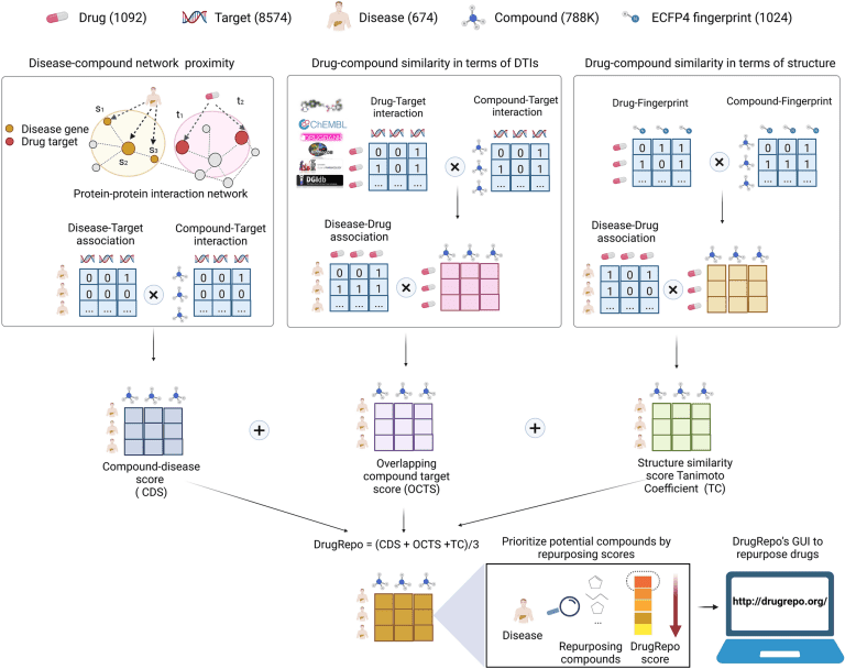 DrugRepo: A Scoring Algorithm for Drug Repurposing Incorporating Chemical and Genomic Features