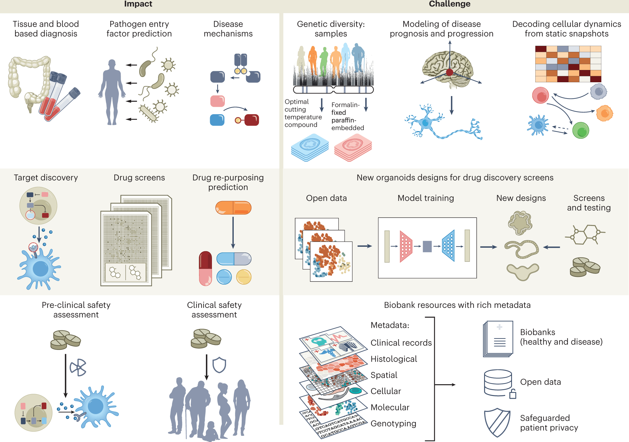 Human Cell Atlas Mission A Reference Map For Analyzing Human Health ...