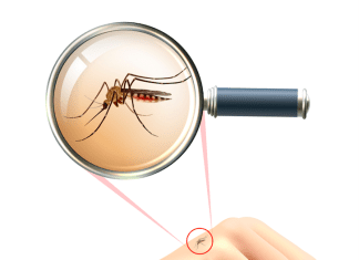 Identifying Imported Plasmodium vivax Malaria Using Molecular Barcoding and Web-Based Data Analysis Identify Plasmodium vivax Malaria Using Molecular Barcoding and Web-Based Data Analysis