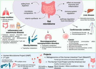 Metagenomics and Metatranscriptomics: New Insights and Pipelines to Better Navigate Data Analysis Metagenomics and Metatranscriptomics: New Insights and Pipelines