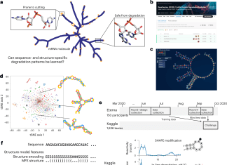 Scientists Develop Deep Learning Models for RNA Degradation Prediction via Crowdsourcing, Critically Important for Stable RNA Therapeutics Deep Learning Models for RNA Degradation Prediction via Crowdsourcing, Critically Important for Stable RNA Therapeutics