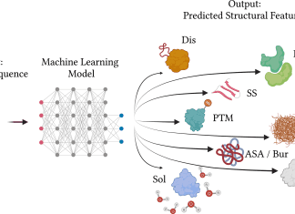 Ten Hacks for Predicting Protein Properties from Sequences using Machine Learning Predicting Protein Properties from Sequences using Machine Learning