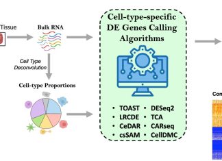 Cell Type-Specific Differential Gene Expression: A Guide Through The Available Methods Cell Type-Specific Differential Gene Expression - csDEG