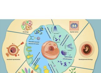 Bioinformatics Approaches used in Single-cell Technologies: Recent Progress and Future Directions in Applied Research Bioinformatics Approaches used in Single-cell Technologies: Recent Progress and Future Directions in Applied Research