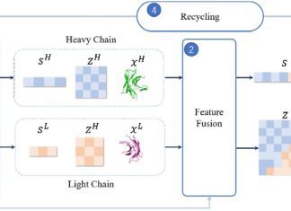 tFold-Ab: A Novel Antibody Structure Prediction Method without Sequence Homologs tFold-Ab predicts the structure of antibodies and nanobodies
