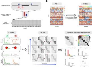 CHESSBOARD: A Bayesian Approach to Identifying Cancer Subtypes through Unsupervised Detection of RNA Splicing CHESSBOARD: A Bayesian Approach to Identifying Cancer Subtypes through Unsupervised Detection of RNA Splicing