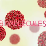What are biomolecules?