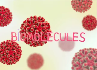 What are Biomolecules? What are biomolecules?
