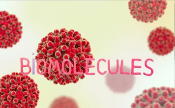 What are Biomolecules? What are biomolecules?