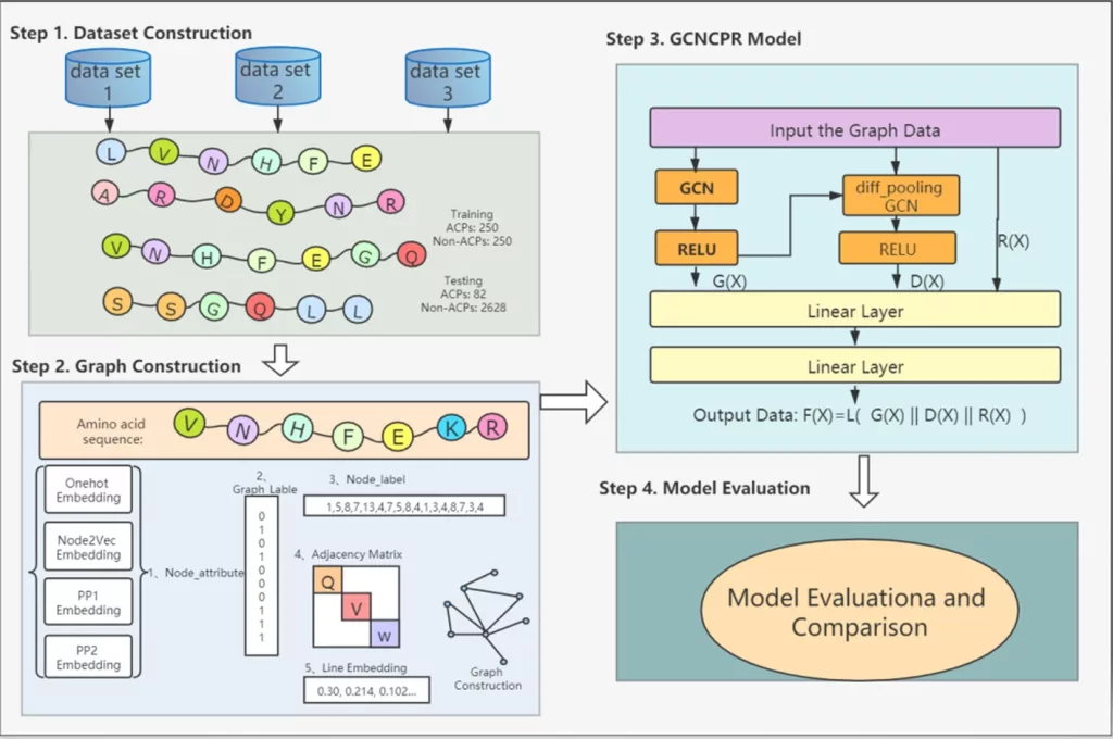 GCNCPR-ACPs: Predicting Anticancer Peptides based on Graph Convolution Network