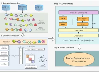 Meet GCNCPR-ACPs: An Innovative Model for Predicting Anticancer Peptides Based on Graph Convolution Network GCNCPR-ACPs: Predicting Anticancer Peptides based on Graph Convolution Network