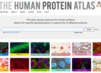 Revolutionizing Cancer Detection: A New Database Maps Proteins that could Predict Cancer Types The Human Protein Atlas: Database Maps Proteins that could Predict Cancer Types