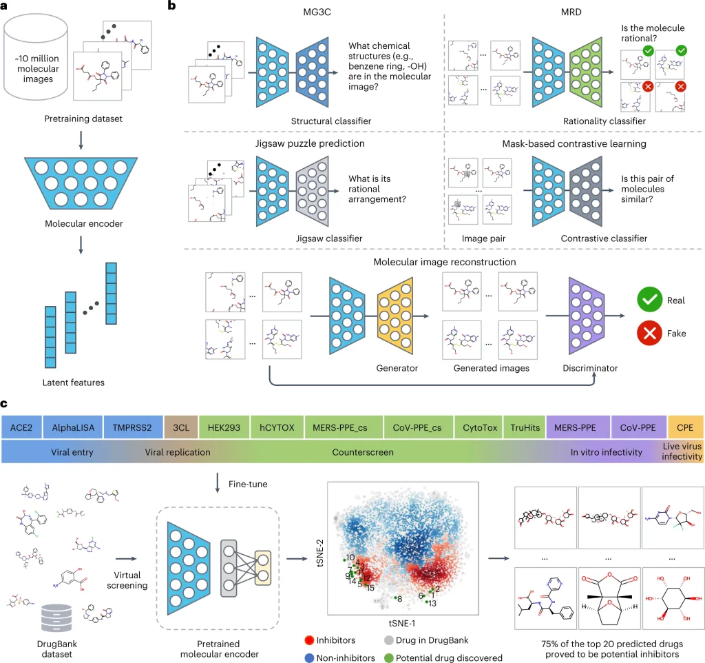 ImageMol – A Powerful Self-supervised Image Representation Learning Framework for Accurate Prediction of Molecular Properties and Drug Targets