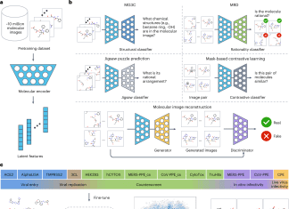 ImageMol – A Powerful Self-supervised Image Representation Learning Framework for Accurate Prediction of Molecular Properties and Drug Targets ImageMol – A Powerful Self-supervised Image Representation Learning Framework for Accurate Prediction of Molecular Properties and Drug Targets
