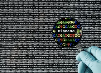 Meet DeepMosaic: A Computer Program that ‘Learns’ to Identify Mosaic Mutations Causing Disease DeepMosaic: A Computer Program that 'Learns' to Identify Mosaic Mutations Causing Disease