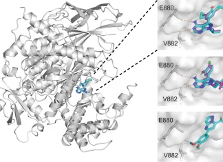De Novo Drug Design Using Generative Deep Learning: Implementing Chemical Language Models with Molecular Structures and Bioactivity De Novo Drug Design Using Generative Deep Learning: The Role of Chemical Language Models with Molecular Structures and Bioactivity