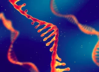 Meet “Espresso”: The Solution for Accurate Quantification of Transcript Isoforms in Error-Prone RNA-Seq Data Espresso