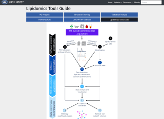 Luminary for Lipidomics Research Applications: Guiding the Choice of Informatics Software and Tools Navigating the choice of informatics software and tools for lipidomics research. Providing a Lipidomics Tools Guide on LIPID MAPS.