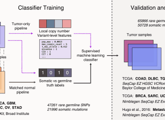 Machine Learning in Oncology: A Tabular Machine Learning Approach to Pan-cancer Tumor-only Variant Calling A Tabular Machine Learning Approach to Pan-cancer Tumor-only Variant Calling