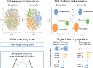 Repurposing Drugs Simplified with ASGARD: A Single-cell Guided Pipeline The workflow of the ASGARD drug repurposing pipeline using a single-cell RNA sequencing data