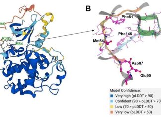 AlphaFold Teams up with Other AI Tools to Accelerate the Drug Discovery Process AlphaFold Coupled with other AI Tools Accelerates the Drug Discovery Process