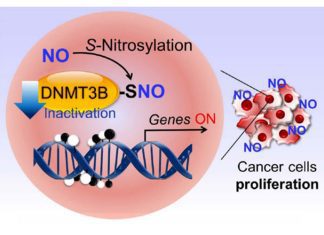 From healthy cell to cancerous growth: the alarming role of “poisoned” proteins in tumor formation From healthy cell to cancerous growth: the alarming role of poisoned proteins in tumor formation