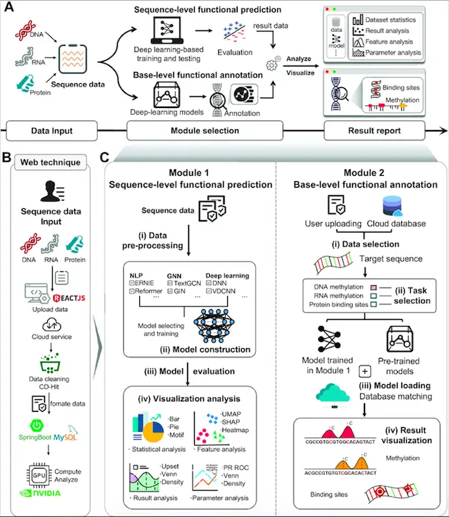 DeepBIO: An Automated Deep Learning Platform for High-Throughput Functional Analysis of Biological Sequences