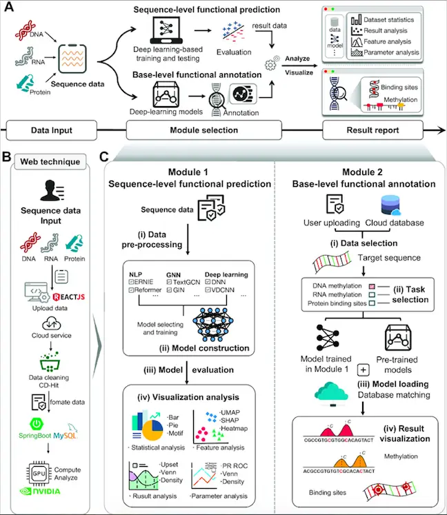 Functional analysis sale for machine learning