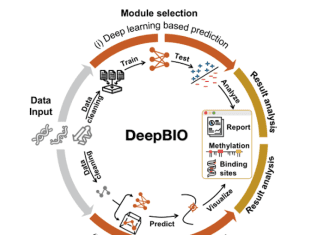 Meet DeepBIO: An Automated Deep Learning Platform for High-Throughput Functional Analysis of Biological Sequences DeepBIO: An Automated Deep Learning Platform for High-Throughput Functional Analysis of Biological Sequences