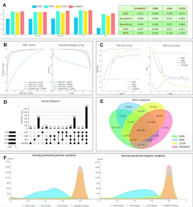 DeepBIO: An Automated Deep Learning Platform for High-Throughput Functional Analysis of Biological Sequences