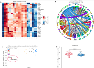 New Hope in the Fight Against Cancer: Scientists Discover Nutrient that Cancer Cells Crave Nutrient that Cancer Cells Crave