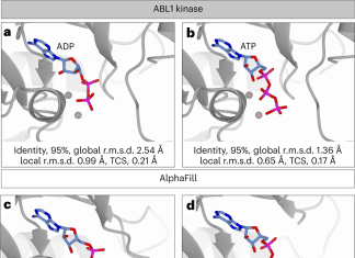 Meet AlphaFill: An AI Algorithm to Fill Missing Ligands and Cofactors in AlphaFold Models AlphaFill: An AI Algorithm that Implants Ligands and Cofactors in AlphaFold Models
