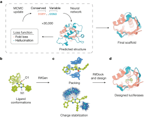 Designing High-Activity Luciferases with Deep Learning: A Promising Approach for Enzyme Design Designing High-Activity Luciferases with Deep Learning