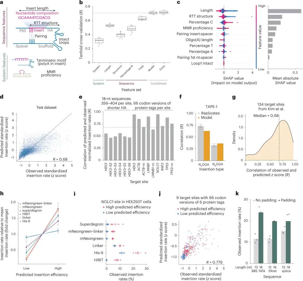 MinsePIE: A Machine Learning Algorithm to Predict Successful Insertion of Gene-Edited DNA Sequences in the Genome of a Cell