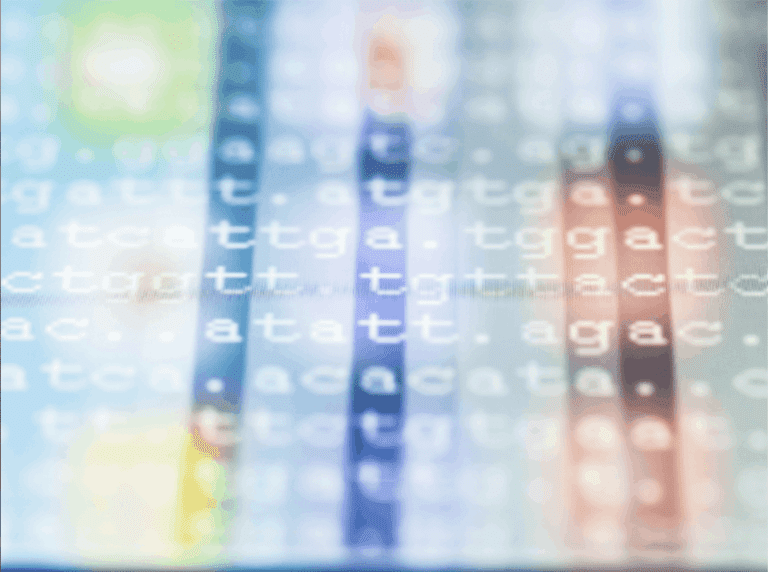 MinsePIE: A Machine Learning Algorithm to Predict Successful Insertion of Gene-Edited DNA Sequences in the Genome of a Cell