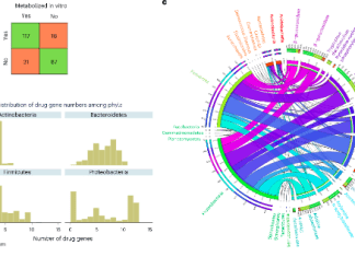 AGORA2: The Key to Personalized Medicine through Genome-wide Metabolic Reconstruction of Human Microbes Overview of reconstructed drugs and annotated drug enzymes present in AGORA2