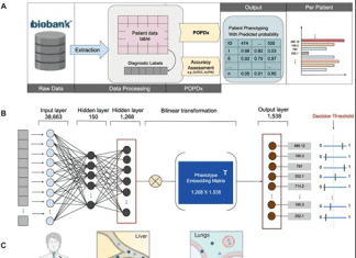The Future of Rare Disease Prediction: Machine Learning Takes the Lead POPDx overview: Rare Disease Prediction: Machine Learning Takes the Lead
