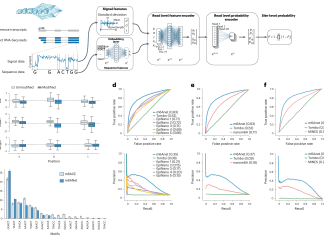 Meet m6Anet: A Multiple Instance Learning based Neural Network Model for Predicting RNA Modifications m6Anet: A Multiple Instance Learning based Neural Network Model for RNA Modification Prediction