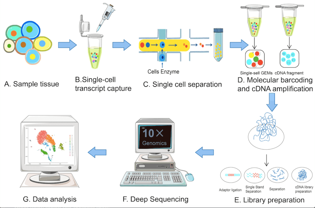 Single-Cell RNA Sequencing: State-of-the-Art Technology and Future Prospects