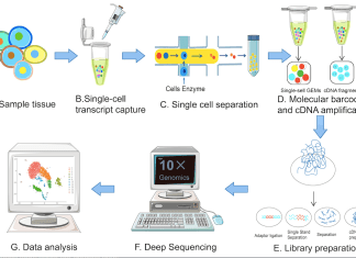 Single-Cell RNA Sequencing: State-of-the-Art Technology and Future Prospects Single-Cell RNA Sequencing: State-of-the-Art Technology and Future Prospects